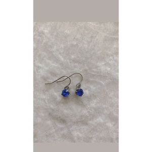 Blue Simple Dangling Earrings